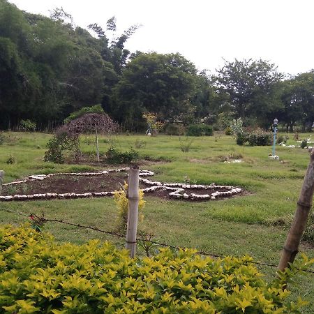 Blue Valley Jungle Resort Nīlgiri Eksteriør billede